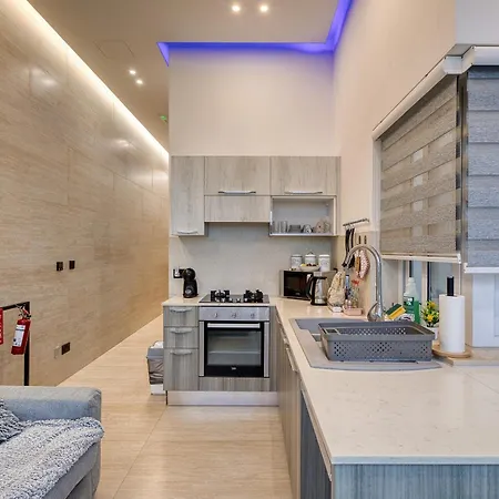 Penthouse With Terrace And Lift Appartement